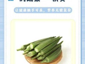 丝瓜草莓向日葵秋葵加油站：一站式营养补给站