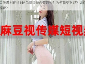 麻花豆传媒剧在线 MV 免费版特色有哪些？为何备受欢迎？如何实现免费观看？