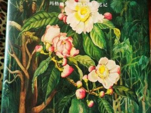 蜀山初章土菇花的生长地与获取方法解析：探寻神秘花卉之旅