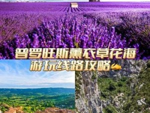 薰衣草实验室研究所 2023 隐藏路线：为何如此神秘？怎样才能找到？