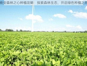 晚安森林之心种植攻略：探索森林生态，开启绿色种植之旅