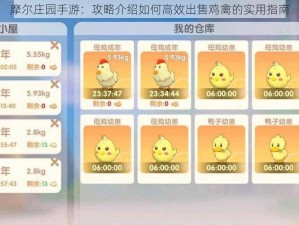 摩尔庄园手游：攻略介绍如何高效出售鸡禽的实用指南