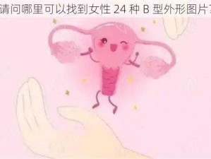 请问哪里可以找到女性 24 种 B 型外形图片？