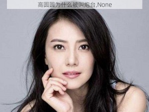 高圆圆为什么被叫炮台,None