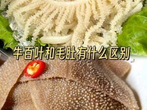 牛百叶是牛的瓣胃，它可以作食材，又可以当药材