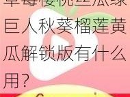 草莓樱桃丝瓜绿巨人秋葵榴莲黄瓜解锁版有什么用？