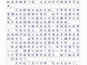 从后面摸你胸前的小兔兔作文——柔软舒适的真兔毛制品