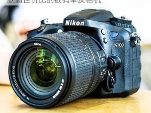 尼康 D7000 价格实惠，性能强劲，是一款高性价比的数码单反相机