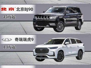 国产SUV精品201—国产 SUV 精品 201 为何能在市场中脱颖而出？