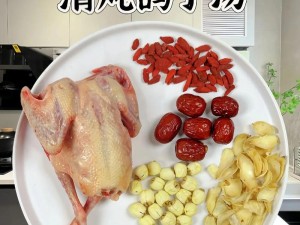 江湖秘制咕咕鸽子汤：一道传统汤菜的制作与介绍