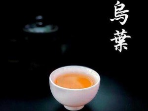 仙踪林官方网站入口欢迎您——享受自然、健康、美味的茶饮品和特色小吃