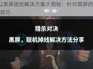 杀手2黑屏困扰解决方案大揭秘：针对黑屏的专业应对技巧