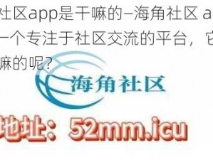 海角社区app是干嘛的—海角社区 app 是一个专注于社区交流的平台，它到底是干嘛的呢？