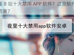 夜里 B 站十大禁用 APP 软件？这些软件有何危害？