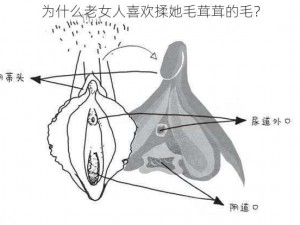 为什么老女人喜欢揉她毛茸茸的毛？