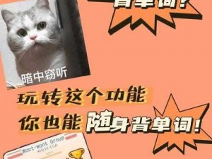 学霸背单词：校霸坐在学霸的鸡上背单词，提升词汇量，让学习更高效