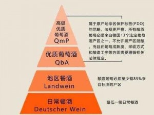 精产国品一产区;请详细介绍一下精产国品一产区的具体情况，包括其特色、优势等方面