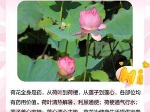 女性半夜莲花开放是怎么回事？会自愈吗？健康新视角为你解答