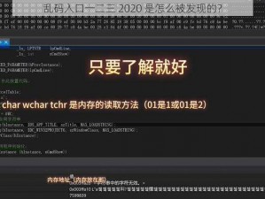 乱码入口一二三 2020 是怎么被发现的？