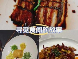 VGAME最佳赏味期攻略：探索美味赏味期制作与享受的秘诀