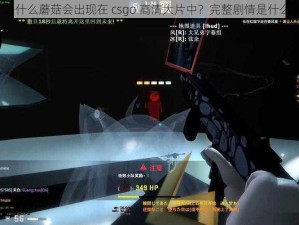 为什么蘑菇会出现在 csgo 高清大片中？完整剧情是什么？