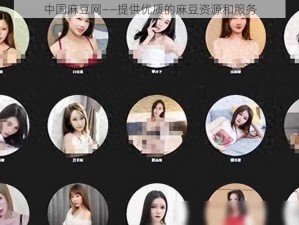 中国麻豆网——提供优质的麻豆资源和服务