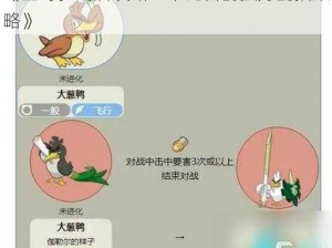 《宝可梦剑盾攻略：卡比兽的强力配招策略》