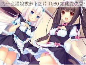 为什么猫娘拔萝卜图片 1080 如此受欢迎？