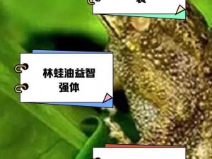 林中小女巫揭秘：独眼蛙捕捉秘籍：专业方法与实用技巧结合