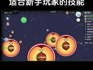 数学弹球电脑版下载攻略及安装指南：轻松上手玩游戏