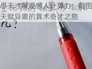 速算小天才展现惊人计算力：截图预览揭秘天赋异禀的算术奇才之旅