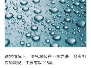 几天不见怎么这么湿—：你是否曾有过几天不见怎么这么湿的疑惑与感受？