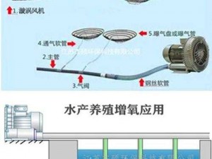 王多鱼塘安装及配置详解：全方位解析鱼塘建设配置与设施安装流程