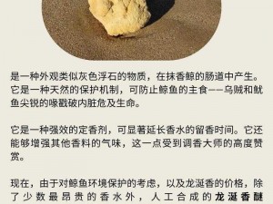 龙涎香是如何形成的？它来自哪种海洋生物？