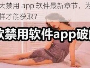 夜里十大禁用 app 软件最新章节，为何被禁用？怎样才能获取？