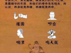 古代养生秘术：探秘长寿人生之道