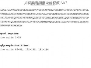 如何观看国燕龙的视频 IVK？