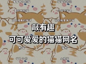 2024 年猫咪最新地域网名为什么这么火？地域网名有何特点和优势？如何选择适合猫咪的地域网名？