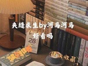 《夹缝求生 BY 河马河马好看吗？如何在困境中找到乐趣》