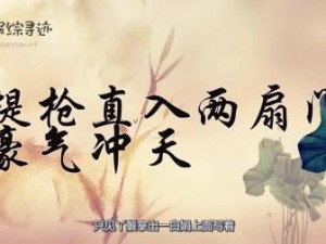 提枪直入两扇门视频(None)