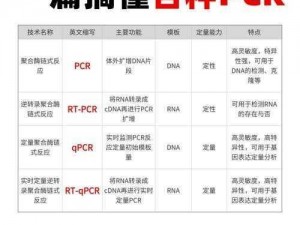 250ppcom、请详细描述关于250ppcom的相关信息，例如其用途、功能、遇到的问题等，以便我能更好地提供帮助