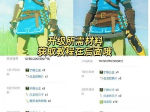 《塞尔达传说：王国之泪英杰服全攻略：如何获取与提升》