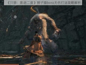 《只狼：影逝二度》狮子猿boss无伤打法攻略解析