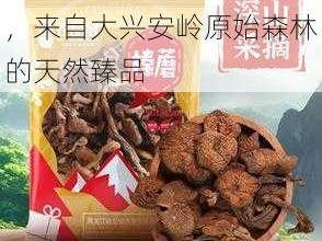 有一根又黑又硬的蘑菇头，来自大兴安岭原始森林的天然臻品