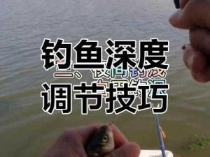 天下手游钓鱼攻略：钓大鱼技巧大揭秘，玩转钓鱼玩法