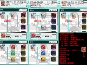 失落的龙约新手入门全攻略：快速升级技巧详解与指南