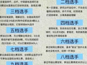 关于台球精英的全方位安装与高级配置说明