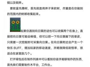 泰拉瑞亚游戏特色亮点——铁皮buff攻略详解：提升生存能力与战斗效能的秘籍分享