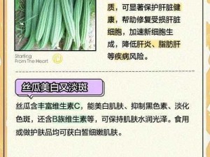 丝瓜草莓向日葵卐卍_丝瓜草莓向日葵卐卍：这些植物在不同文化中的象征意义及特点有哪些？