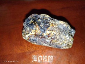 龙涎香为何物？它来自哪种海洋生物？